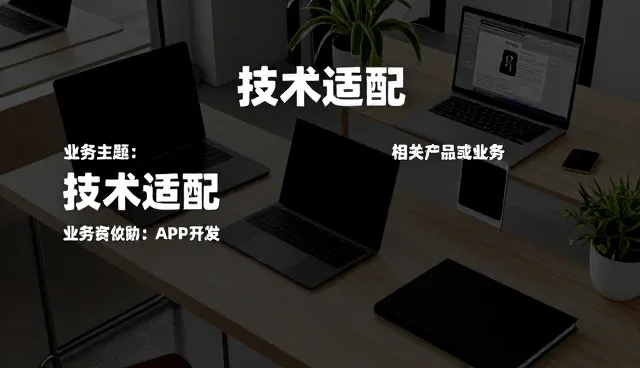 软件技术咨询中性能与适用条件的平衡策略